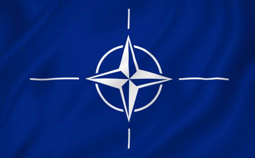 Генсек НАТО: необходимо найти политическое решение для Сирии