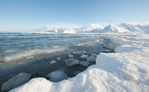 Ученые рассказали, когда из Арктики исчезнет весь лед