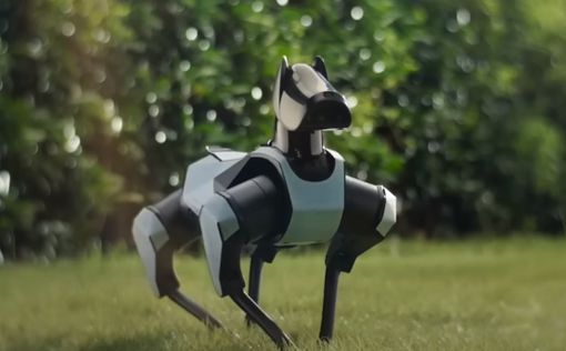 "Почти как настоящая, только лучше": в Китае создали супер собаку-робота