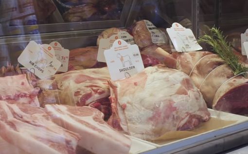 Израильские стартапы займутся производством "чистого мяса"