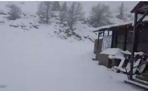 Видео: Хермон засыпало снегом