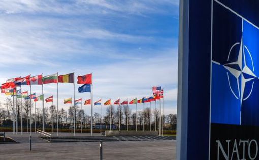 Финляндия и Швеция могут подать заявки на вступление в НАТО уже в мае