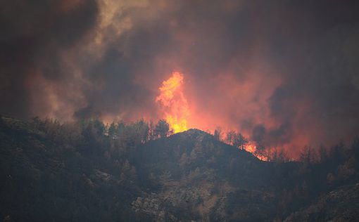 На востоке Греции вторые сутки бушует масштабный лесной пожар
