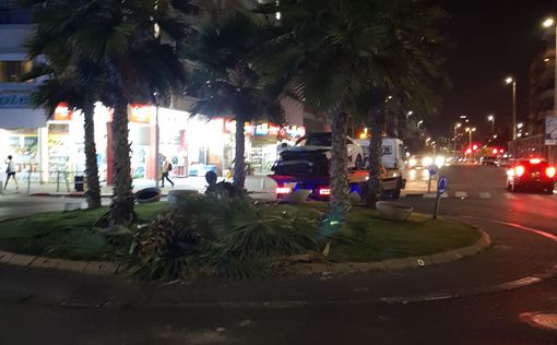В Бат-Яме машина врезалась в пальму