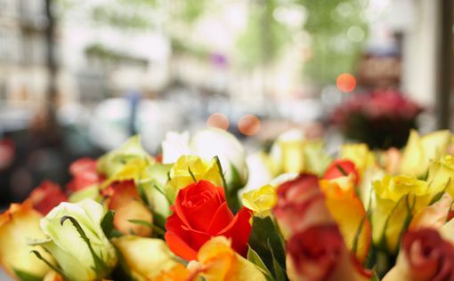 В Швеции созданы цветы-киборги