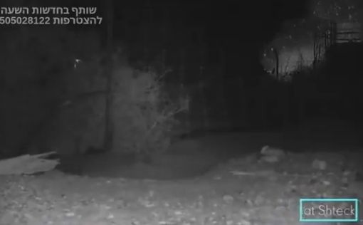 Видео: беспилотник взорвался на окраине Эйлата