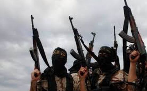Атака на Синае: ответственность взяла ISIS