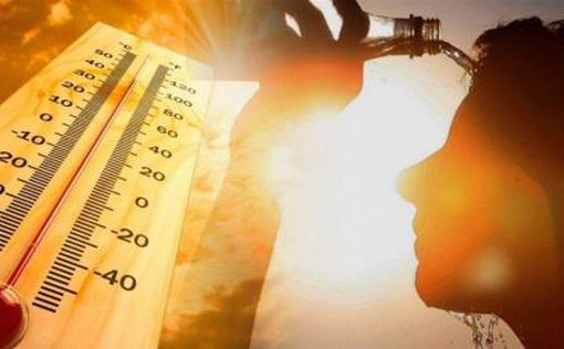 Из-за жары в прошлом месяце в Испании погибло 700 человек