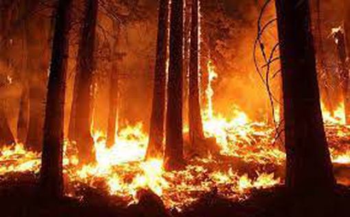 Сильный лесной пожар в США движется к курортным городам