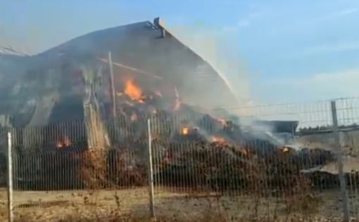 В Израиле бушуют пожары: спасатели в повышенной готовности