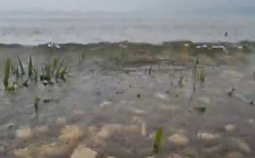 Уровень озера Кинерет: побит 30-летний рекорд