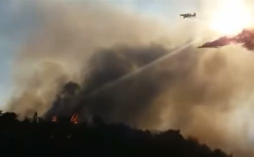 Все пожары возле Иерусалима потушены