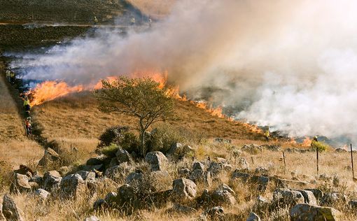 Пекло из Греции перемещается в Турцию: на курортах Анталии начались пожары