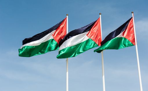 Реакция арабов на переезд посольства разочаровала ПА