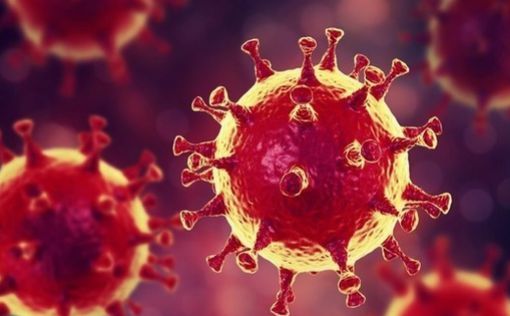 Россия объяснила низкий уровень заболеваемости коронавирусом