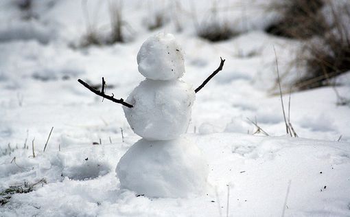 Мужчину уволили с работы за сломанного снеговика