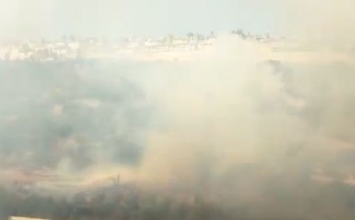 Пожар в пригороде Иерусалима удалось локализовать: опасности для местных нет