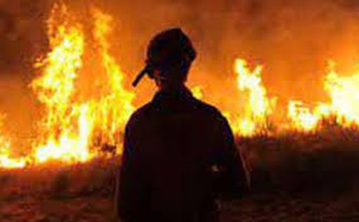 Чили: лесные пожары уничтожили более 750 гектаров