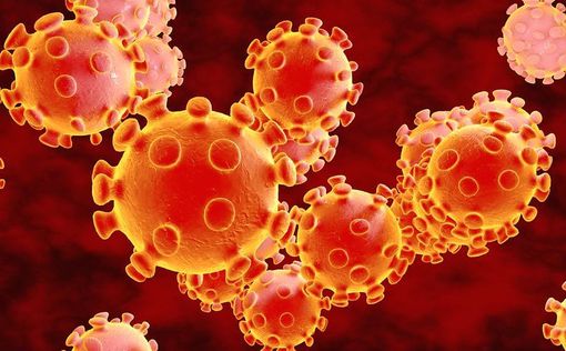 В Израиле обнаружен южноафриканский штамм коронавируса