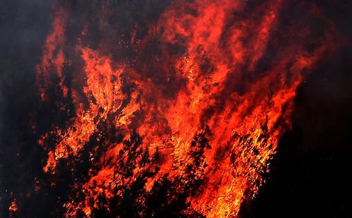 В Ливане бушует пожар
