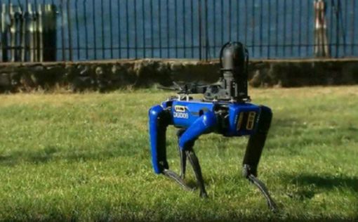Полиция Нью-Йорка "уволила" со службы роботов-собак