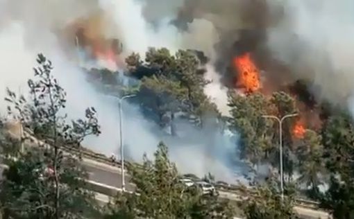Пожар на севере Израиля: жителей эвакуировали