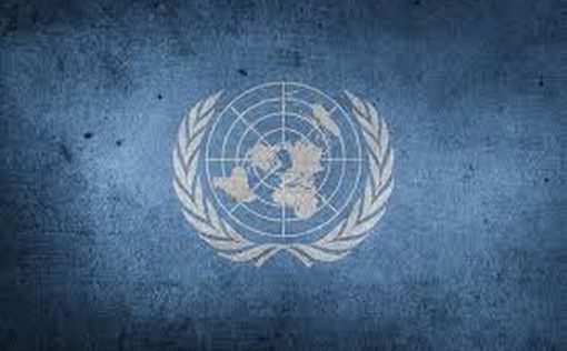 Окровавленную игрушку из Краматорска покажут ООН как улику