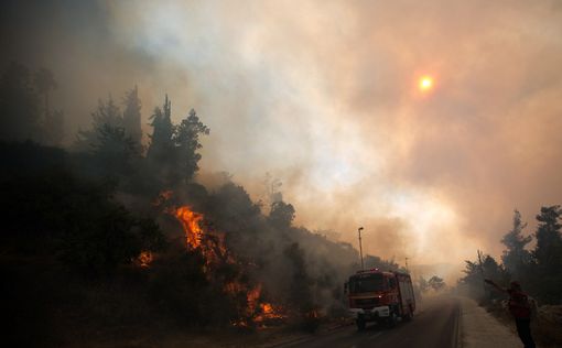 Сильнейшие пожары в Калифорнии: уничтожено 8 домов