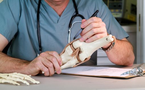 Аналог костной ткани человека разработали ученые