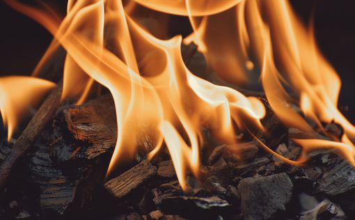 Европейцы использовали огонь на 50 000 лет раньше, чем мы думали — исследование