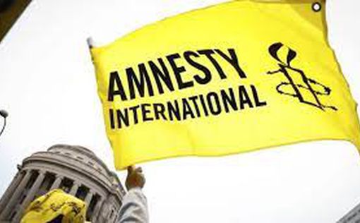 Скандальный отчет Amnesty International с критикой Украины пересмотрели эксперты