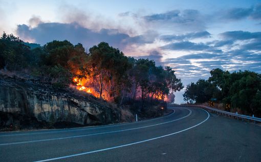 Лесной пожар на севере Израиля