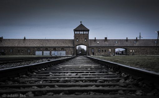 Германия: прошел суд над охранником Освенцима