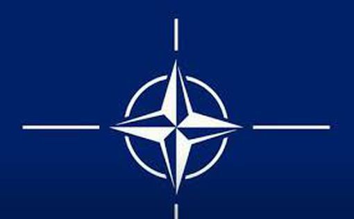 Шольц: НАТО не будет вмешиваться в конфликт в Украине