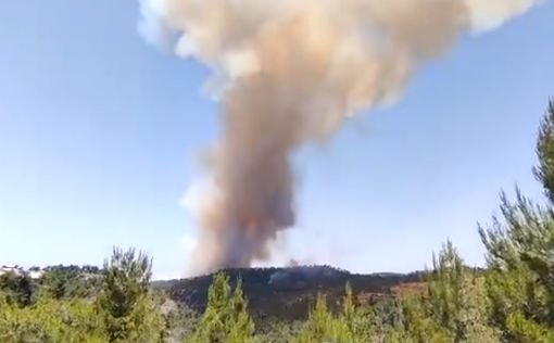 Лесной пожар возле Неве Илан: видео