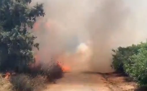 Сильный пожар в Нир Ам: видео