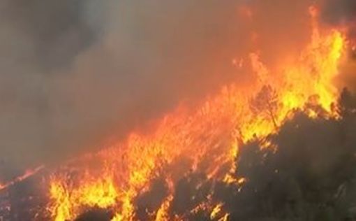 В Калифорнии бушуют лесные пожары: видео из "ада"