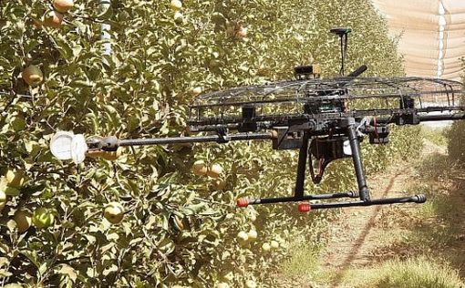 Теперь дроны будут собирать урожай фруктов