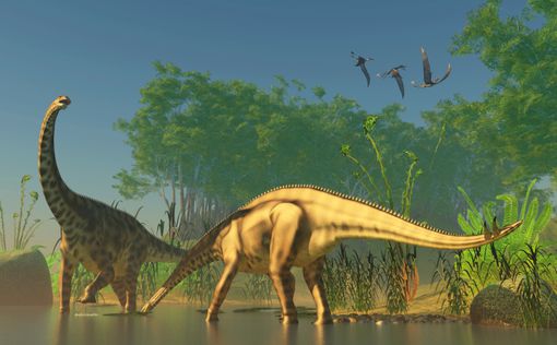 Обнаружен скелет динозавра