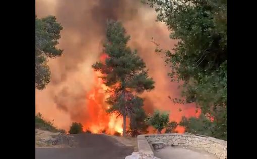 30 пожарных расчетов борются с огнем в Иерусалимских горах