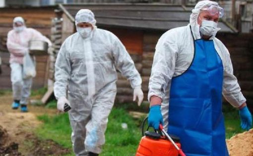 ​​​​​​​В России готовятся к эпидемии холеры