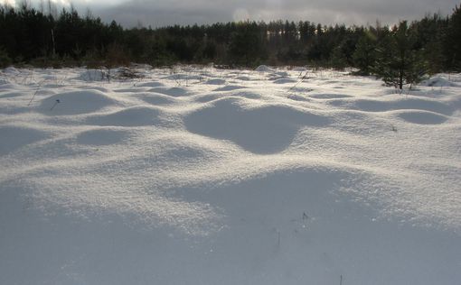 Ученые: Земля может превратиться в гигантский снежок