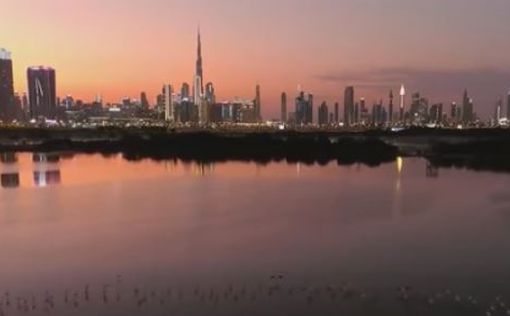 Власти Дубая первыми в мире отказались от бумаги