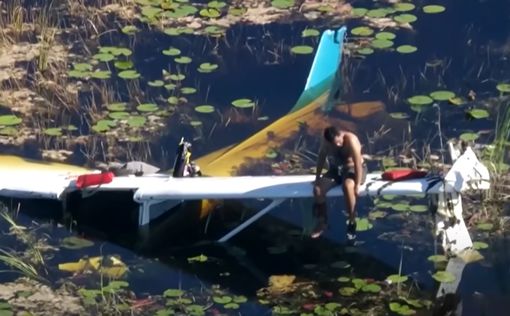Самолет упал в болото с аллигаторами | Фото: скришнот