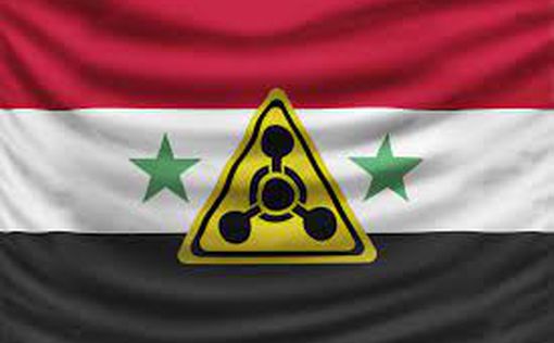 Права Сирии в ОЗХО приостановлены
