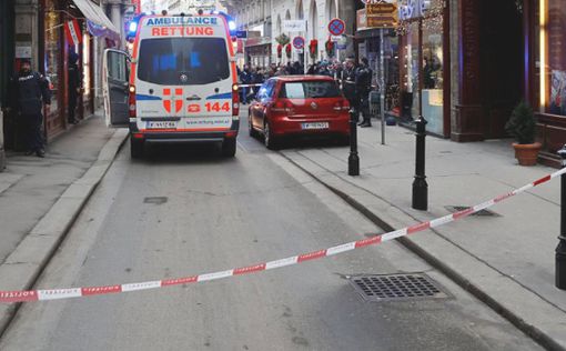 Теракт в Вене: задержаны 14 человек, среди них есть россияне