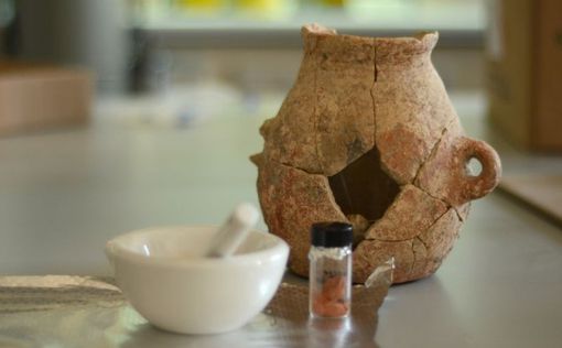 В Израиле нашли 8000-летнее оливковое масло