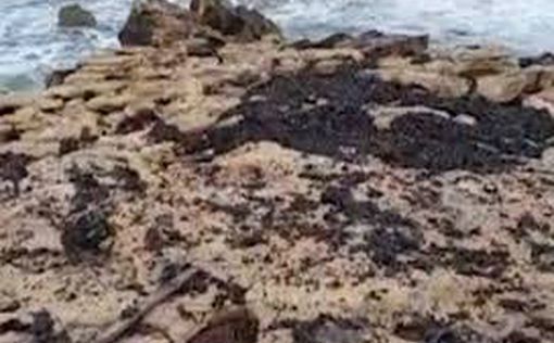 На пляжах на севере Израиля собрано около 70 мешков нефтяных смол