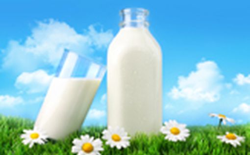 Как приучить детей к молочным продуктам