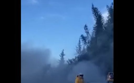 На Аляске сошел оползень: драматические кадры